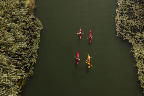 Ebro Delta: Guided Kayak Tour to Gracia Island