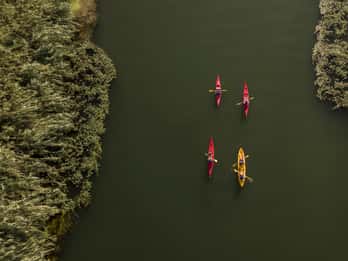 Ebro Delta: Guided Kayak Tour to Gracia Island