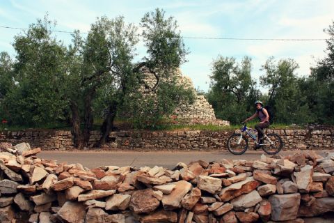 Трани: 3-часовой велосипедный тур по сельской местности