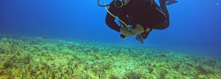 Cancún Underwater Museum, Cancún - Book Tickets & Tours | GetYourGuide