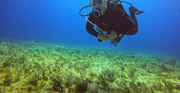 Cancun: Scuba Diving for Certified Divers, 3 options to dive