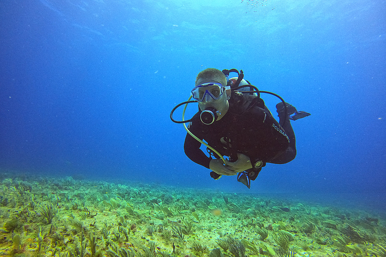 Cancun : plongée sous-marine pour plongeurs certifiés sur 3 sitesMusée sous-marin MUSA pour plongeurs certifiés, 2 plongées