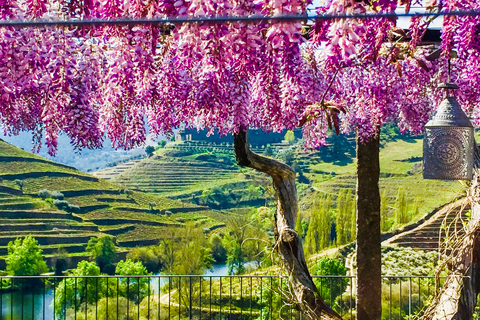 Porto : vallée du Douro, croisière, vins & déjeunerVisite en français avec prise en charge à l’hôtel