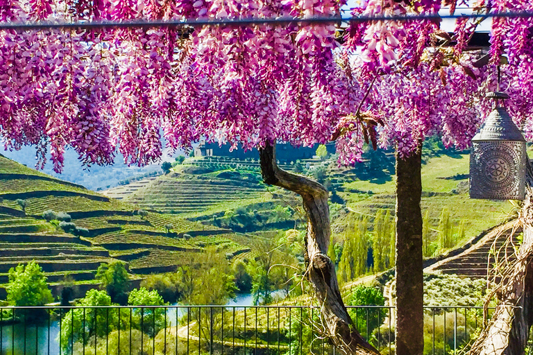 Ab Porto: Douro-Tal mit Bootstour, Weinverkostung und EssenTour auf Französisch mit Hotelabholung