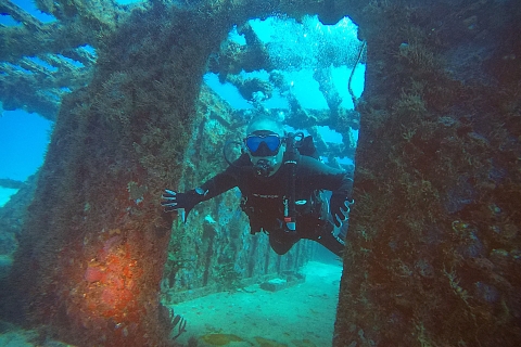 Cancun : plongée sous-marine pour plongeurs certifiés sur 3 sitesRécifs de Punta Cancun pour plongeurs certifiés, 2 plongées