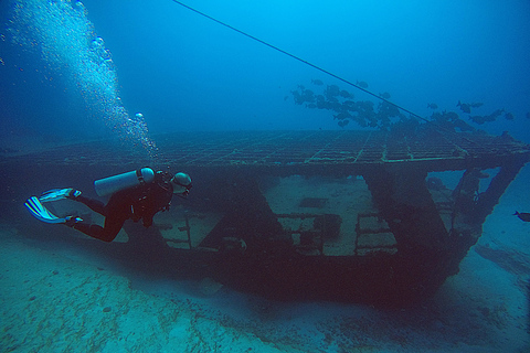 Cancun : plongée sous-marine pour plongeurs certifiés sur 3 sitesMusée sous-marin MUSA pour plongeurs certifiés, 2 plongées