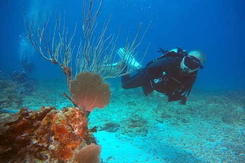 Cancun: Tauchen für zertifizierte Taucher an 3 OrtenPunta Cancun Reefs für zertifizierte Taucher, 2 Tauchgänge