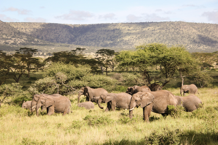 Zanzibar: 2-daagse safari naar het nationale park Tarangire