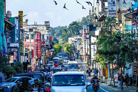 Kandy privet day tour z pinnawala i plantacją herbatyZaczynając od obszaru Negombo