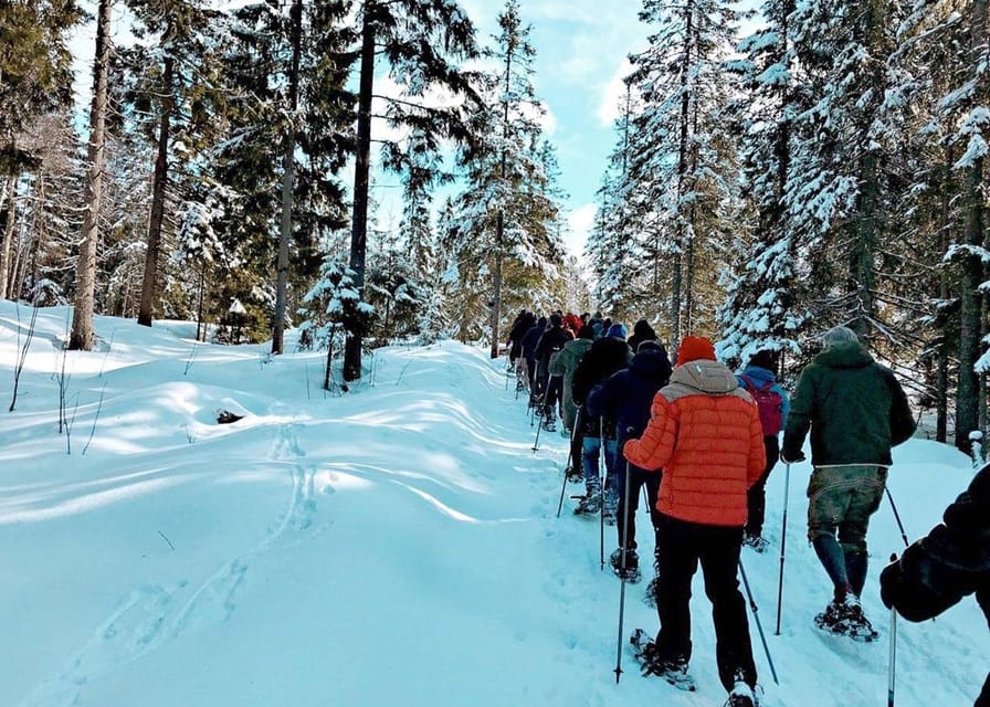 Snowshoe tour in winter wonderland  GetYourGuide