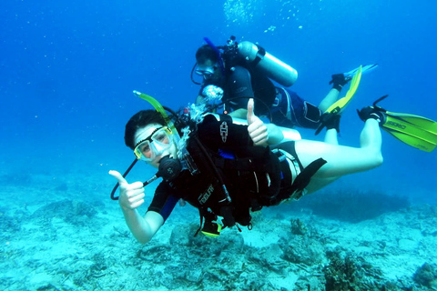 كامبريلس: نادي الغوص للمبتدئين مع خدمة الاستقبال من الفندق