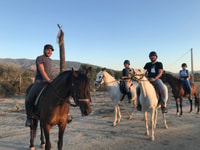 Almeria, Horse Riding Tour door de Tabernas Desert - Housity