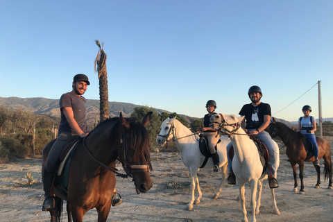 Almeria: tour a cavallo attraverso il deserto di TabernasTour a cavallo in francese