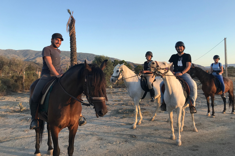 Almería : balade à cheval dans le désert de TabernasRandonnée à cheval en anglais/espagnol