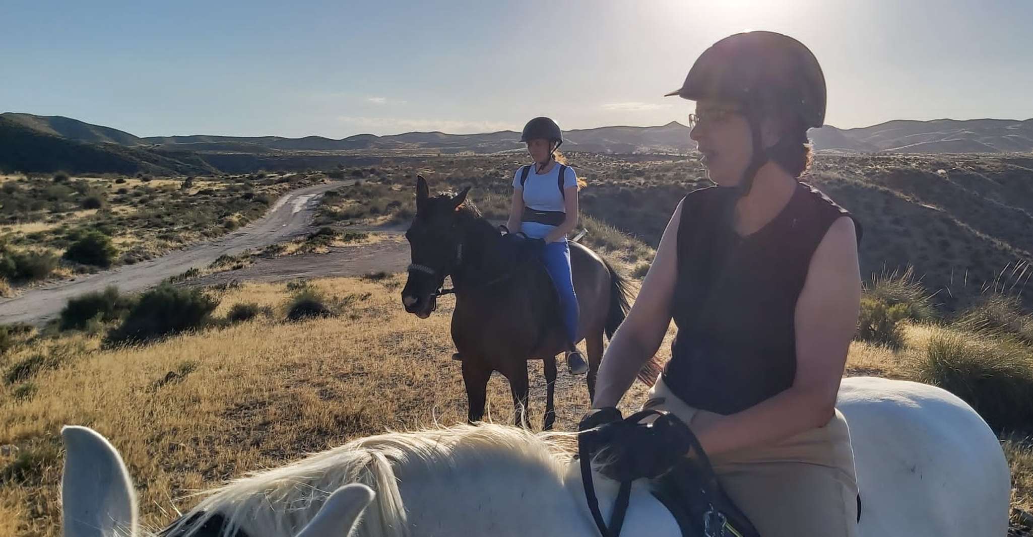 Almeria, Horse Riding Tour Through the Tabernas Desert - Housity