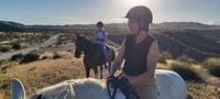 Almeria, Horse Riding Tour door de Tabernas Desert - Housity