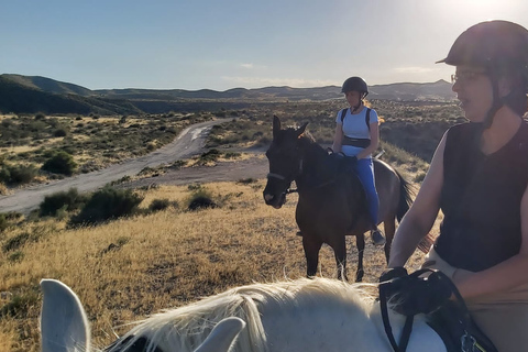 Almeria: Horse Riding Tour Through the Tabernas Desert Horse Riding Tour in English / Spanish