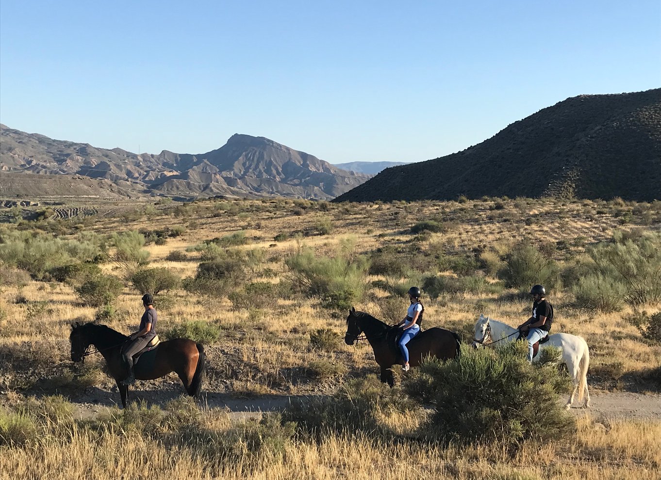 Almeria: Ridetur gennem Tabernas-ørkenen