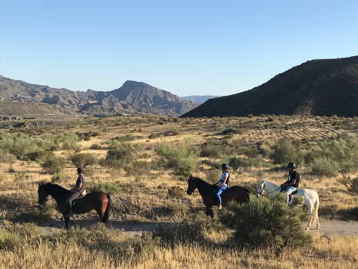 Almeria: Horse Riding Tour Through the Tabernas Desert | GetYourGuide