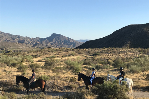 Almeria: Ridtur genom Tabernas öknenRidning i franska