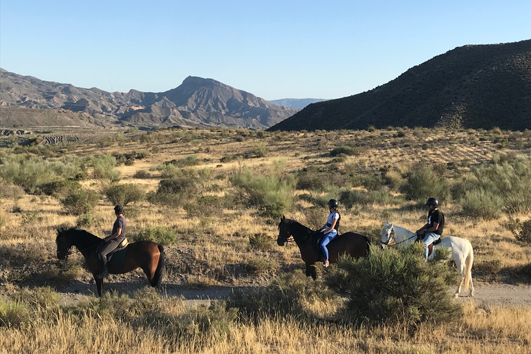 Almería : balade à cheval dans le désert de Tabernas