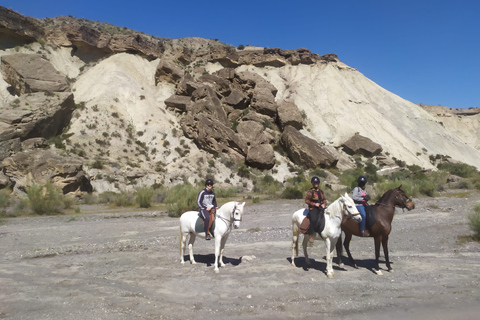 Almeria: Ridtur genom Tabernas öknenRidning i franska