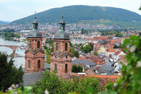 Miltenberg - Privat tur med rundvandring och slottsbesök