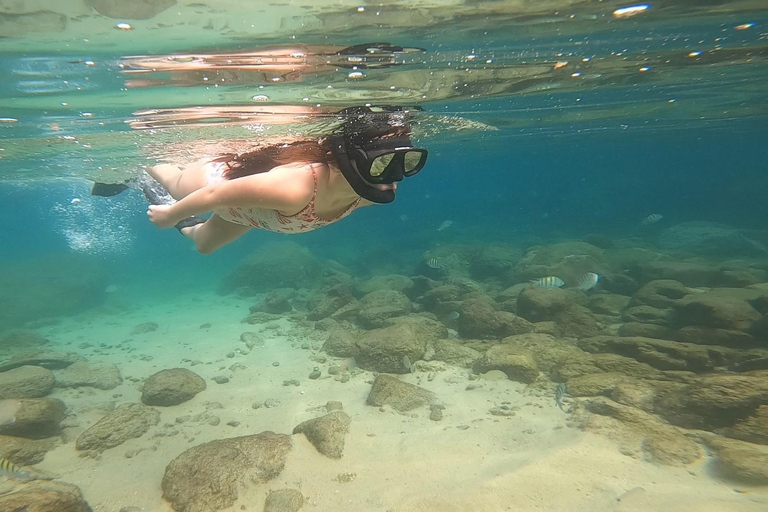 Un día en Ilha Grande Snorkel con tortugas PrivadoUn día en Ilha Grande Snorkel con tortugas