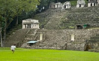Palenque, Yaxchilán and Bonampak 1 Day Tour - Housity