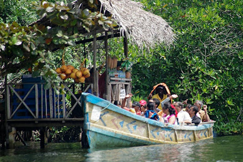 Tour della città di Bentota/Aluthgama in Tuk Tuk