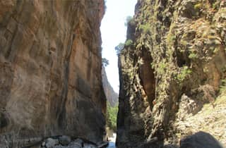 Desde Heraclión, Agia Pelagia y Malia: excursión guiada a la garganta de Samaria