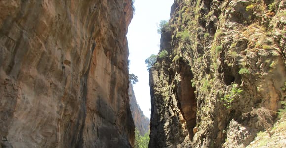 Von Heraklion, Agia Pelagia, Malia: Samaria-Schlucht Geführter Ausflug