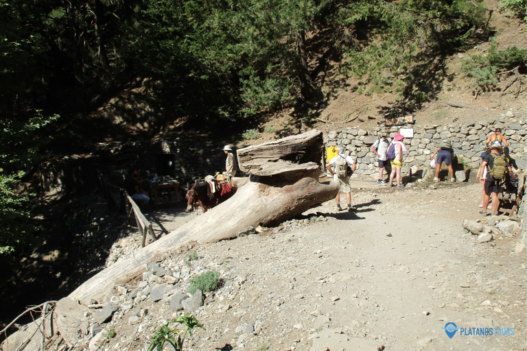 Ab Agia Pelagia, Iraklio & Malia: Samaria-Schlucht-TagestourAbholung in Iraklio und Ammoudara