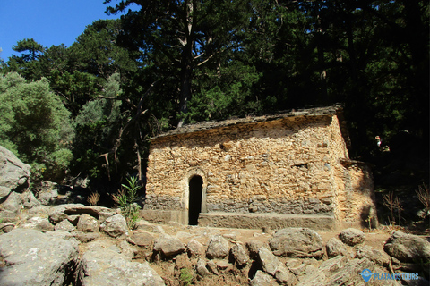 Da Heraklion, Agia Pelagia, Malia: Escursione alle Gole di SamariaPrelievo da Agia Pelagia, Lygaria e Fodele