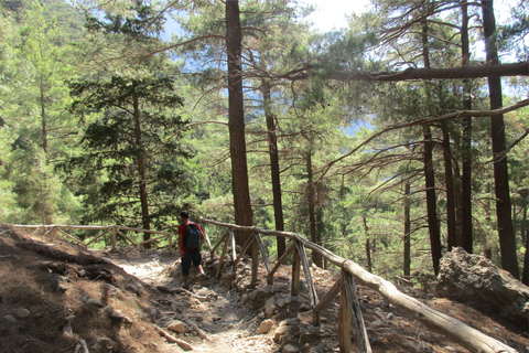 Garganta de Samaria: Excursión de un día desde Agia Pelagia, Heraklion y MaliaRecogida en Agia Pelagia, Lygaria y Fodele