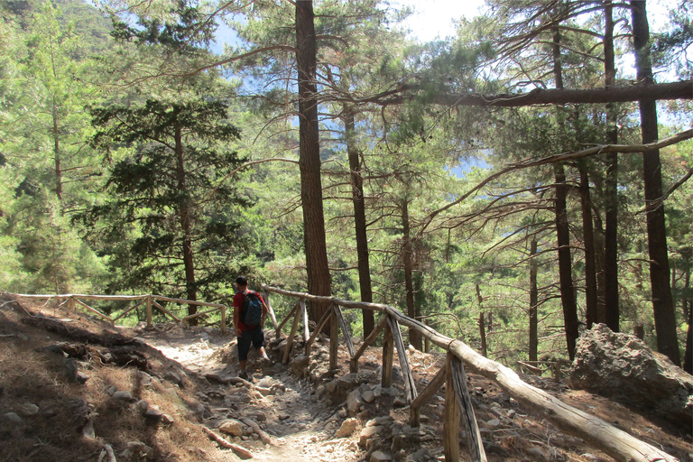 Ab Agia Pelagia, Iraklio & Malia: Samaria-Schlucht-TagestourAbholung in Iraklio und Ammoudara