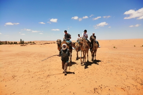 Wüste Sahara: 2-tägige Tour mit Essen und einer Nacht im Zelt