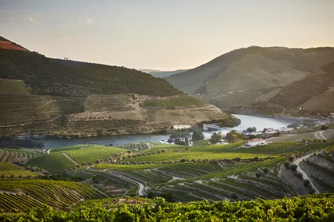 Pinhão: bezoek aan Quinta do Bomfim met proeverij