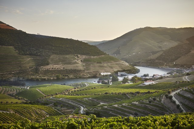 Visit Pinhão Quinta do Bomfim Visit and Tasting in Douro Valley