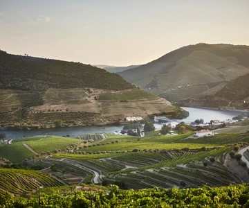 Pinhão: Visita à Quinta do Bomfim c/ Degustação