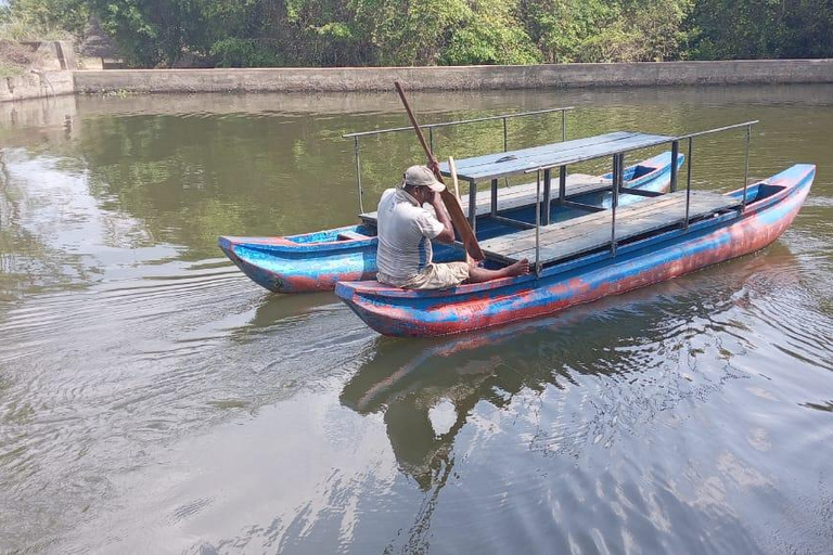 Från Kandy: Sigiriya Lion Rock fästning och byresa