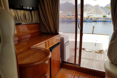 Tenerife south: safari with luxury boat , animal encounters