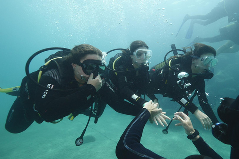 Tenerife: PADI Discovery Scuba Diving in Los Cristianos