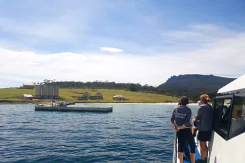 From Hobart: Full-Day Tour of Maria Island National Park