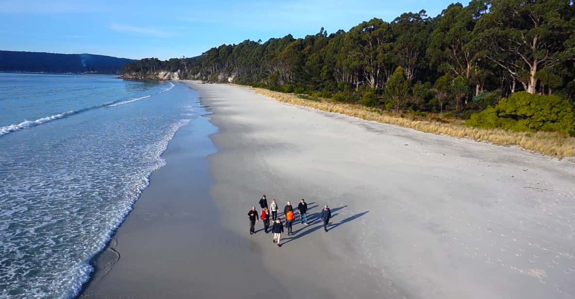 Hobart: Bruny Island Gourmet Sightseeing Day Tour