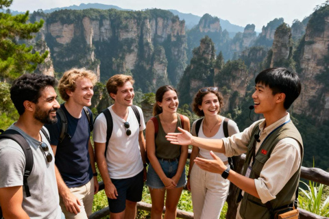 张家界：国家森林公园和大雁夜市之旅