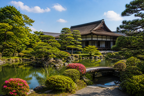 Kyoto:Secret Hidden Gems Tour with Forest Walk & River Lunch