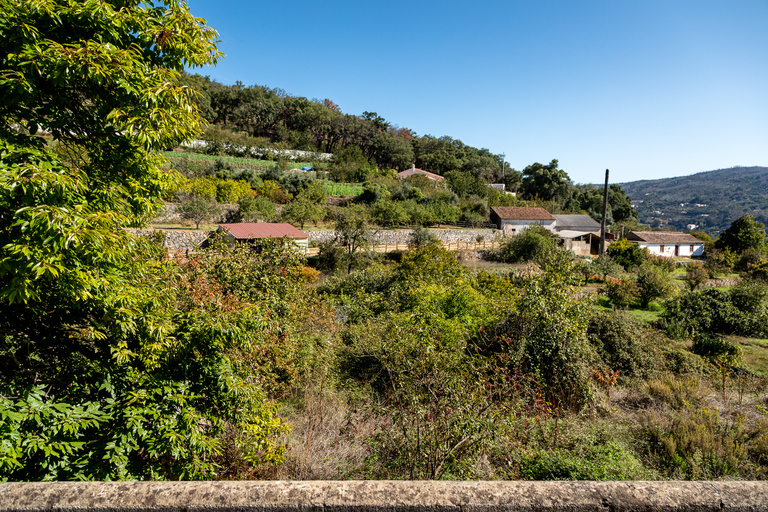 Algarve: Ganztägige geführte Sightseeing-Tour mit Mittagessen