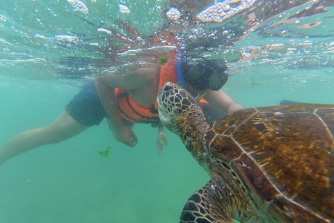 SH Snorkeling Club Mirissa