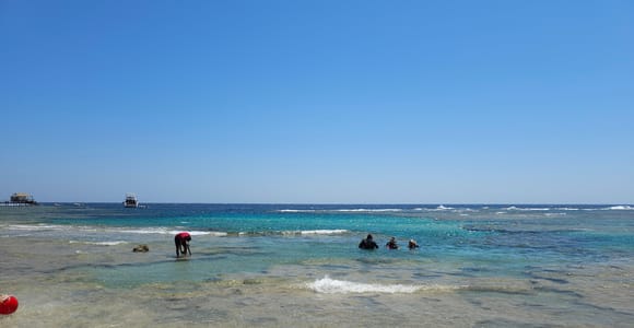 El Quseir: Red Sea Diving - Reefs, Caves & Marine Wildlife